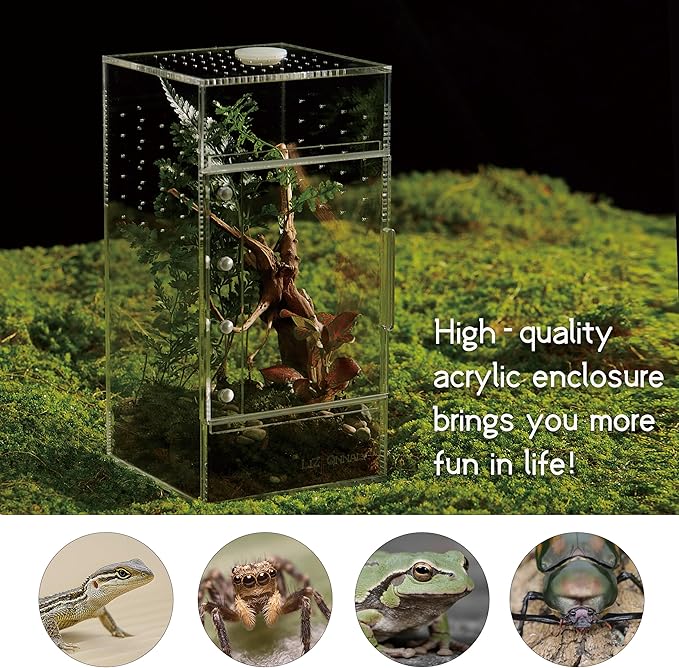 Acrylic Terrarium for Reptiles & Spiders – Small/Medium/Large Leak-Proof Enclosure (Horizontal/Vertical) | Ideal for Tarantulas, Jumping Spiders, Frogs & Geckos(Small, Vertical)