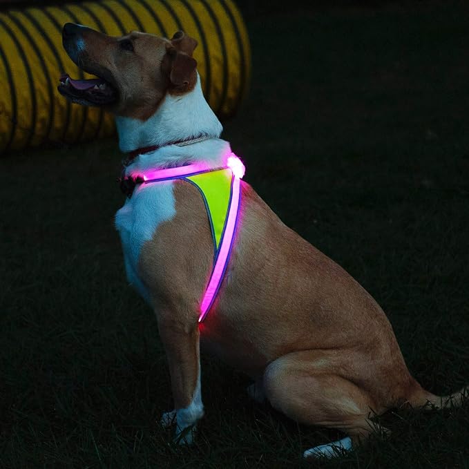 noxgear LightHound Light Up Reflective Dog Harness, X-Large | 360° Light Up Reflective Dog Harness, 8 Colors & 6 Modes, USB Rechargeable, Adjustable, Rainproof, LED Fiber Optic