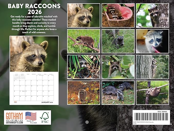 Baby Raccoon Calendar 2026 Wall 12 Month Raccoons Gifts For Racoon Lovers Women Men Monthly Calender | American Made In The USA