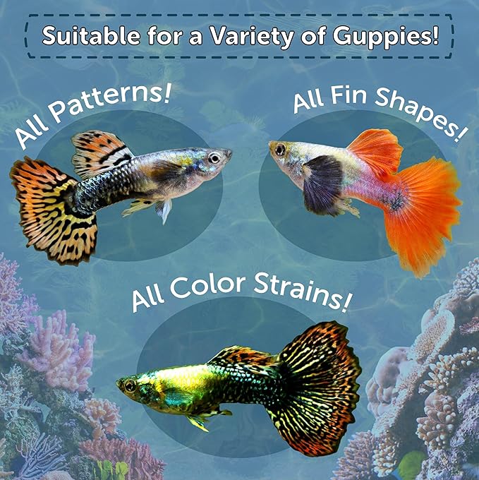 Aquatic Foods Inc. Guppy Premium Flakes, for Guppies, Endler Guppies, Mollies, Platys, Swordtail Fish, All Live Bearer Tropical Fish, 4-Type Wafer Mix & 12-Type Pellet Mix Included 1.30oz Canister
