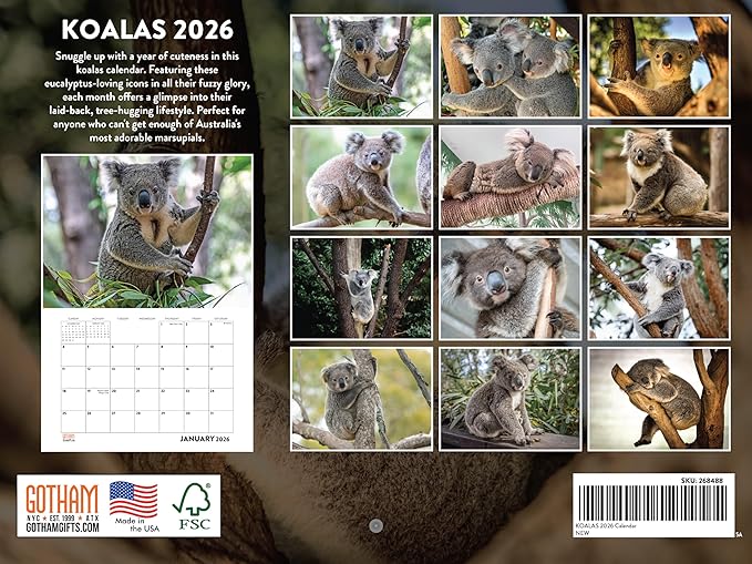 Koala Calendar 2026 Monthly Wall Calender 12 Month | American Made In The USA