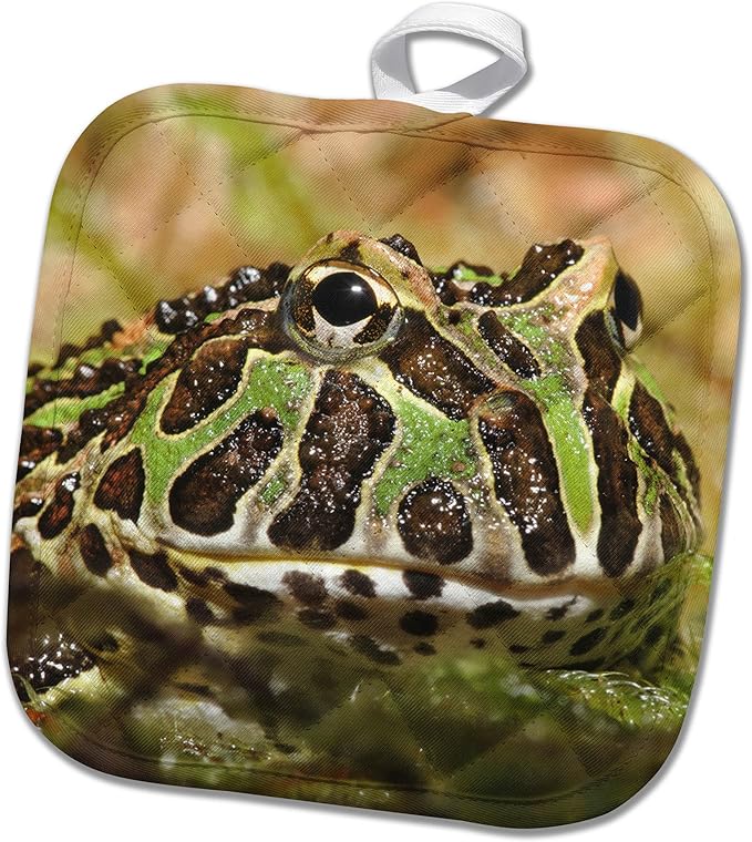 3dRose Pacman Frog, South American Horned Frog - NA02 AJE0359 - Adam Jones 8x8 Potholder