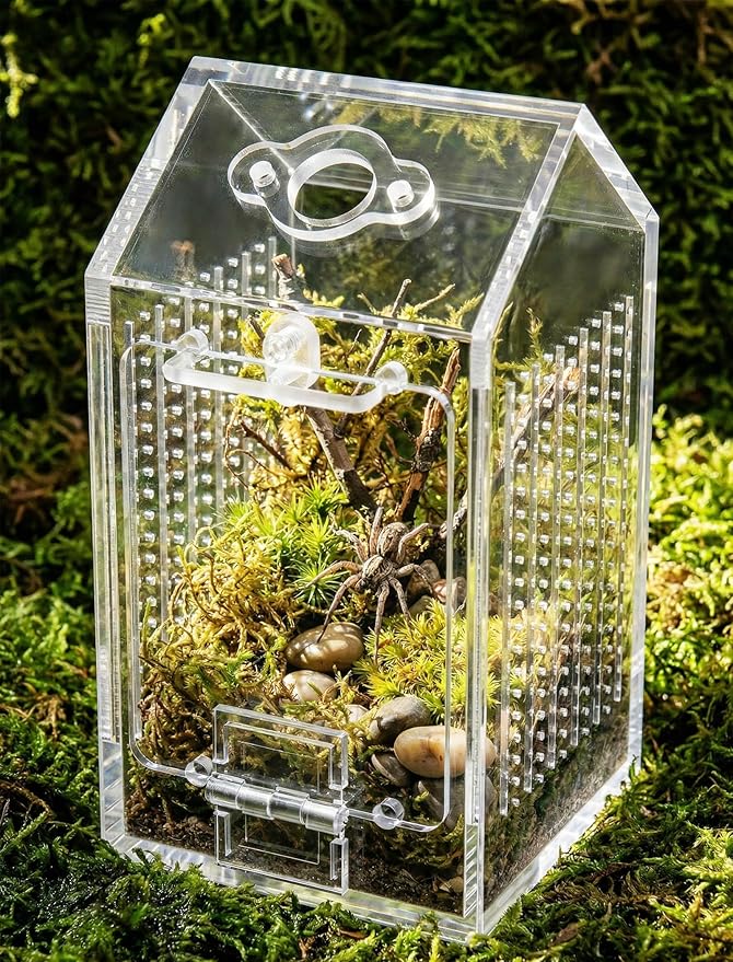 NiHome Clear Acrylic Jumping Spider Enclosure, Tarantula Terrarium, Acrylic Praying Mantis Enclosure, Magnetic Front Opening Door & Feeding Port, Escape-Proof Reptile Habitat,1.5mm Ventilation Holes