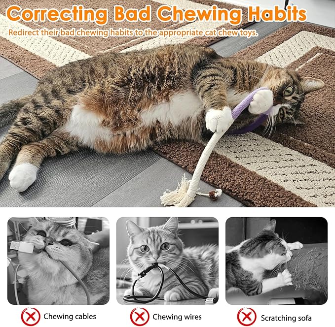 Tocirelo Silvervine Sticks for Cats & Cat Chew Rope - 8Pcs Natural Cat Chew Toy Teeth Cleaning for Bored Indoor Adult Cats, Matatabi Dental Care Kitten Treat Teething Toys, Silver Vine Cat Chew Stick