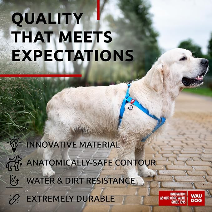 WAUDOG Waterproof Adjustable Dog Harness - Heavy Duty Harness with Metal Clasp and QR Tag - Blue (24-35in)