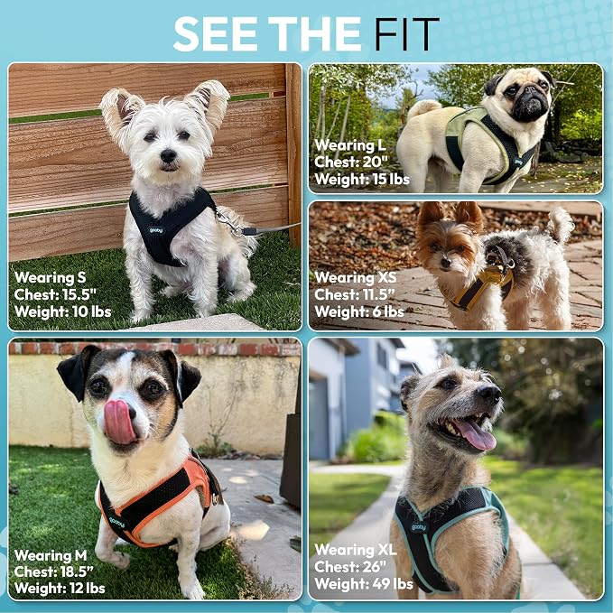 Gooby Escape Free Easy Fit X Step-in Dog Harness, Vegas Black, Small | Patented escape-free, tightens on back-out; Choke-free X-frame + V-neck; Quick-release buckle; Reflective trim
