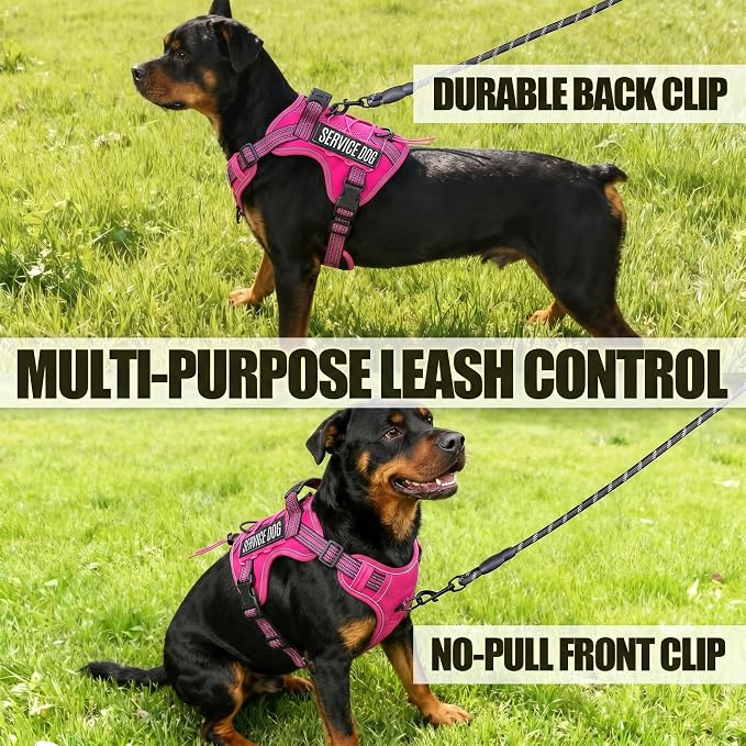 Service Dog Tactical Vest Harness and Leash Set Large Sized Dog Emotional Support- Tactical Dog Harness Training Collar with Name (Rose Red, XL)