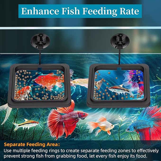 DaToo Fish Feeding Ring Aquarium Square Floating Food Feeder Circle with Strong Suction Cup Fish Tank Feeding Ring for Betta Goldfish Guppy