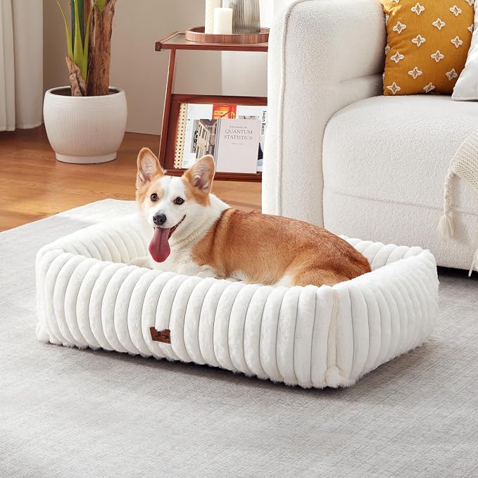 Dog Bed Medium Size Dog, Rectangle Orthopedic Pet Bed for Car and Indoor, Comfort Fluffy Memory Foam Dog Beds with Anti-Slip Bottom, Cream(30x24x8inchs)