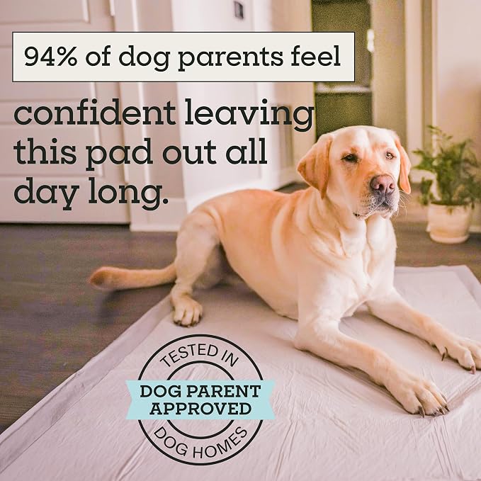 Pet Life Unlimited Heavy Duty 3XL Puppy Pads for Dogs, Potty Training Pee Pads, 26 Count, 36" x 36", Leak-Proof, Super Absorbent, Quick-Dry, Odor Control Clover Leaf Scent, Made in USA