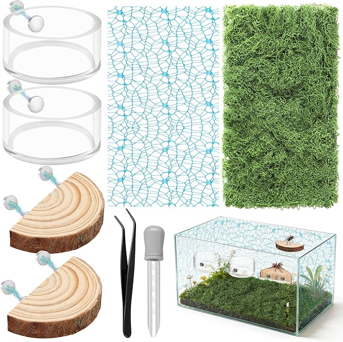 Windspeed 8Pcs Jumping Spider Enclosure Stuff Kit with 2 Jumping Spider Enclosure Ledges 2 Tarantula Feeding Dish 1.8 Ounce Fake Moss 1 Dropper 1 Clamp