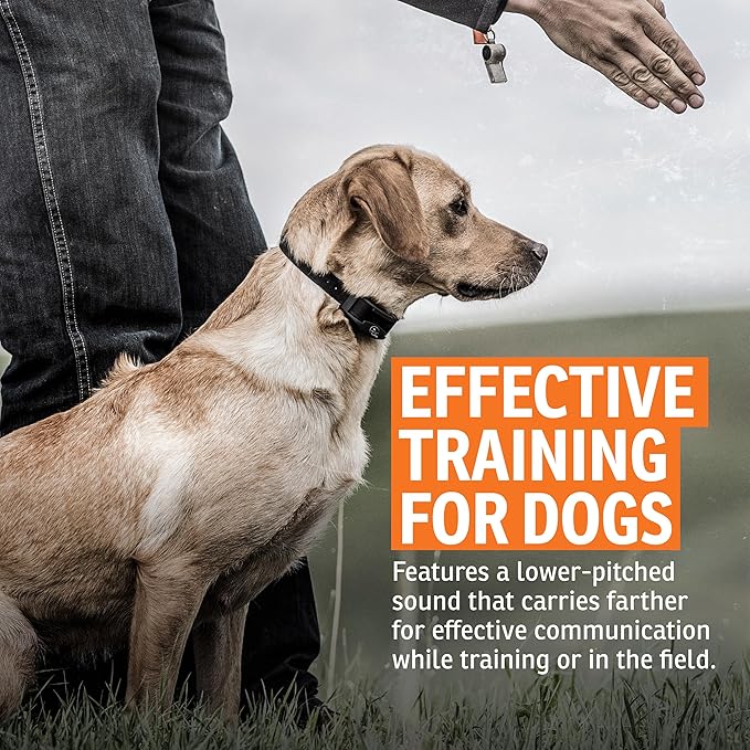 SportDOG Roy Gonia Special Whistle - Long-Range Projection Hunting Dog Field Training Whistle - Ear-Friendly & Ergonomic Design - Durable Plastic Construction