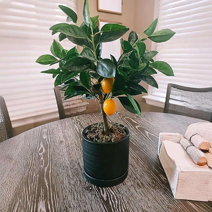 HERDUK 6 Inch Plant Pots, Ceramic Planter Pot with Drainage Hole & Saucer, Indoor/Outdoor Cylinder Round Planter Pot, Matte Black
