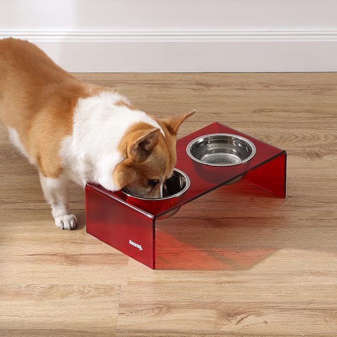 DBL2000H Keaton 5" Small/Medium Modern Acrylic Rectangular Elevated Pet Feeder with 20oz 2-Stainless Steel Bowls, Red/Chrome