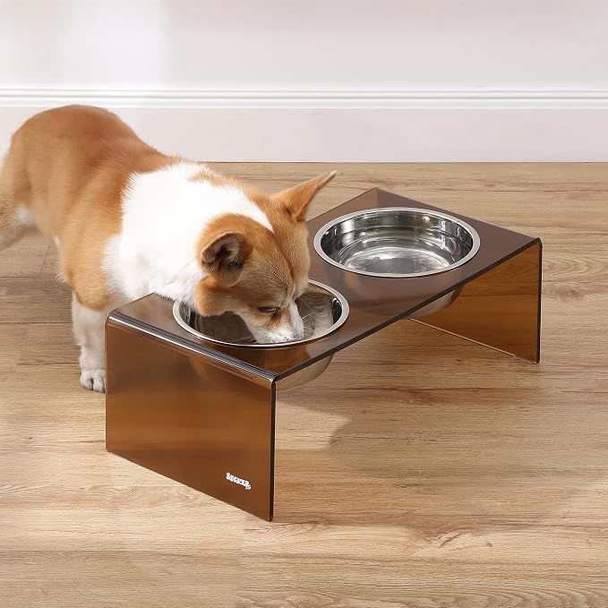 DBL2001D Keaton 7.5" Medium/Large Modern Acrylic Rectangular Elevated Pet Feeder with 54oz 2-Stainless Steel Bowls, Amber/Chrome