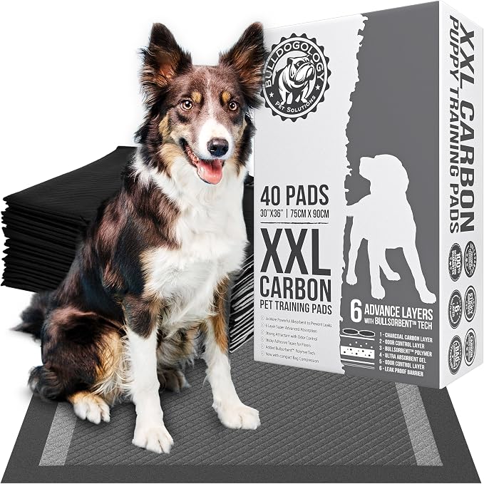 Bulldogology Charcoal XXL Pee Pads for Dogs (30x36) Puppy Pee Pads with Adhesive Sticky Tape - Leak Proof Puppy Pads - Ultra Absorbing Charcoal Dog Pads - Activated Carbon Pee Pads (40-Count)