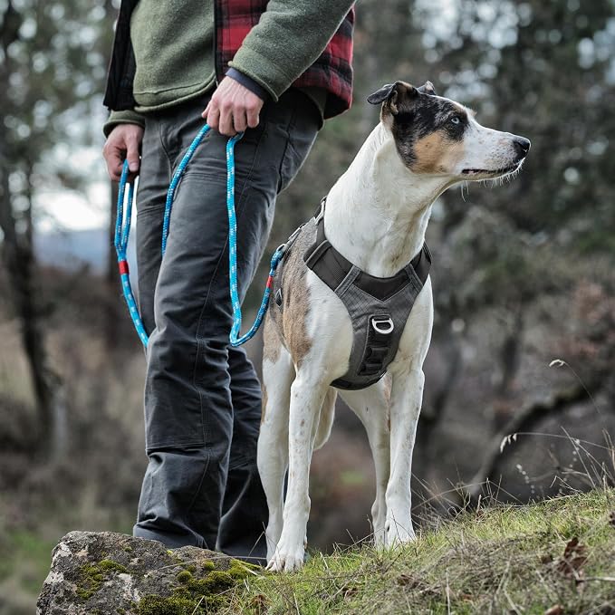 Kurgo Journey Air Dog Harness, Black, Small | Padded Chest, Ripstop Outer & Breathable Mesh, Back Assist Handle, Rust-Free Aluminum Hardware, Reflective Trim