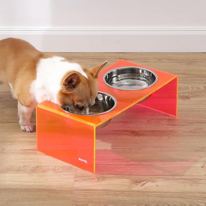 DBL2001E Keaton 7.5" Medium/Large Modern Acrylic Rectangular Elevated Pet Feeder with 54oz 2-Stainless Steel Bowls, Pink/Chrome