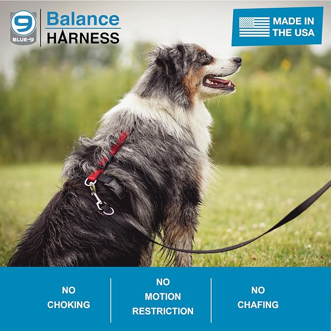 Blue-9 Buckle-Neck Balance Harness, Fully Customizable Fit No-Pull Harness, Ideal for Dog Training and Obedience, Made in The USA, X-Small, Purple
