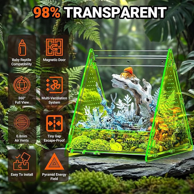 Triangular Jumping Spider Enclosure, Acrylic Terrarium with Magnetic Doors, 0.8mm Micro-Ventilation& Escape-Proof Design for Tarantulas, Lizards, Small Pets (Green,6.5"x7.3"x7")