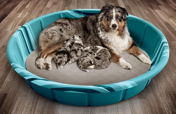 Pet Parents® Pawtect® Pads Washable Pee Pads for Dogs (2pack) of Premium Dog Pee Pads, Waterproof Puppy Pads & Reusable Dog Pads, Whelping Pads & Modern Pee Pads for Dogs (Tan/Grey, 36" Round)