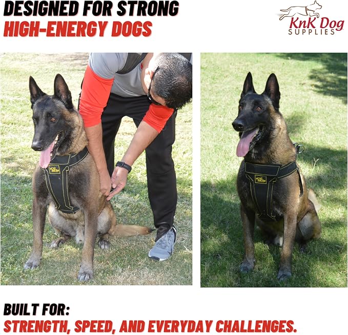 KNK Heavy Duty Tactical Dog Harness for Pitbull, Large & XL Breeds | Adjustable Padded Dog Harness for Large Dogs and Bullies with Reinforced Chest Support for Training, Walking, Strong Pullers