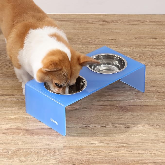 DBL2000C Keaton 5" Small/Medium Modern Acrylic Rectangular Elevated Pet Feeder with 20oz 2-Stainless Steel Bowls, Blue/Chrome