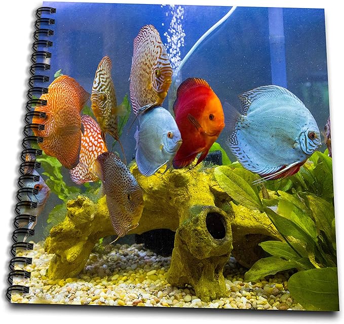 Drawing Book 8 x 8 inch - Freshwater tropical discus. Fish