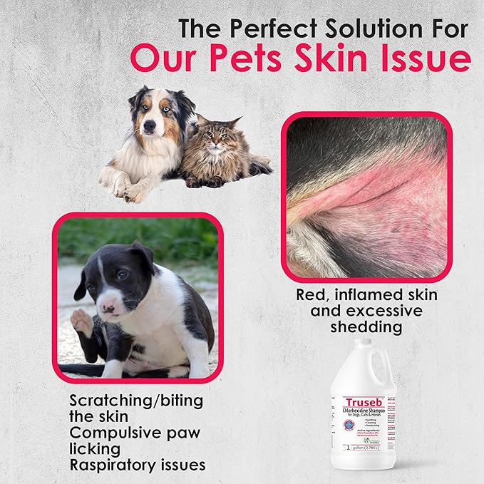 Truseb Chlorhexidine Shampoo for Dogs Cats & Horses with Aloe Vera - Antibacterial Antifungal Medicated Dog ketoconazole Shampoo and Conditioner -Skin Irritation, Hot Spots, Redness Relief (1 Gallon)