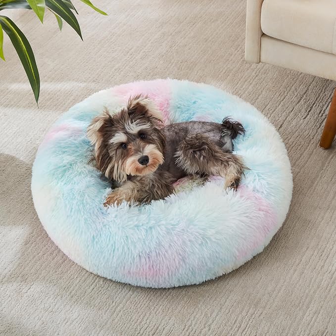 Western Home Calming Donut Small Dog Cat Bed Washable Puppy Bed,24" Rainbow | Fluffy Faux Fur Round Cuddler,Anti-Anxiety,Anti-Slip Bottom,Pet Beds for Puppy&Small Dogs&Large Cat,Up to 25 LBS