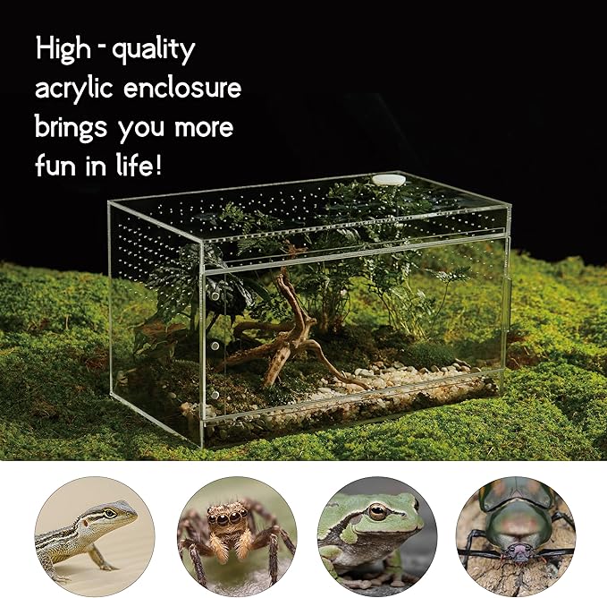 Acrylic Terrarium for Reptiles & Spiders – Small/Medium/Large Leak-Proof Enclosure (Horizontal/Vertical) | Ideal for Tarantulas, Jumping Spiders, Frogs & Geckos (Large, Horizontal)