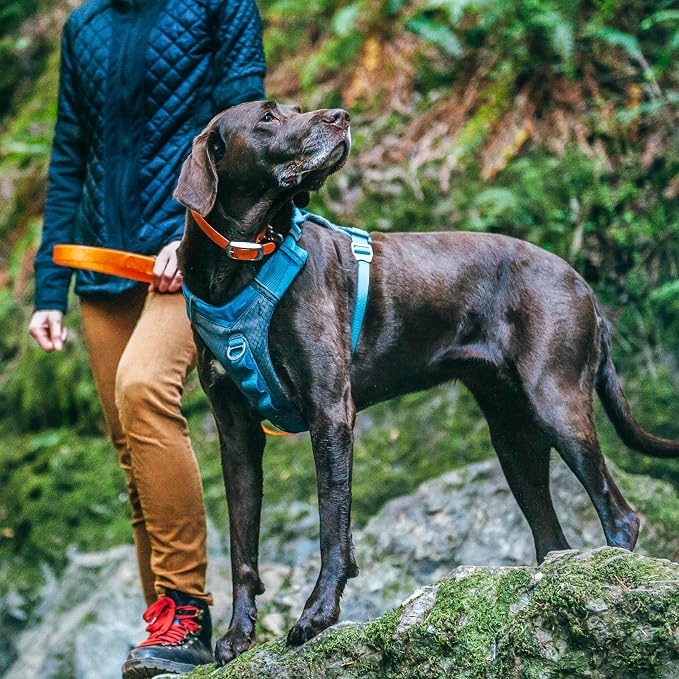 Kurgo Journey Air Dog Harness, Black, Medium | Padded Chest, Ripstop Outer & Breathable Mesh, Back Assist Handle, Rust-Free Aluminum Hardware, Reflective Trim
