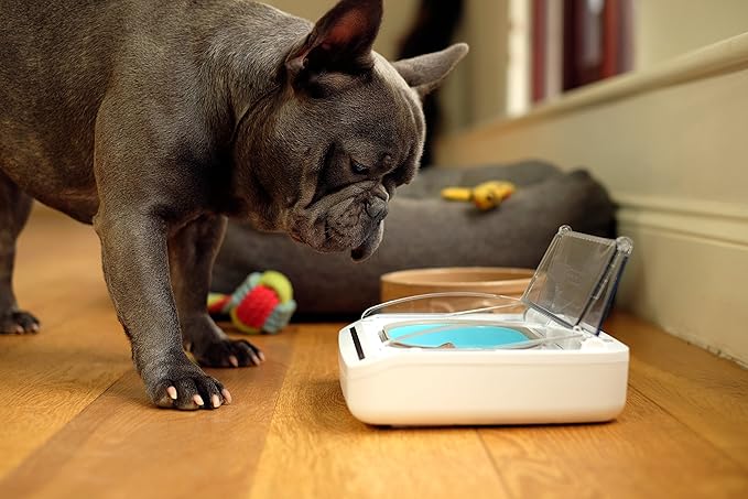 Sure Petcare - SureFeed - Motion Activated Sealed Pet Bowl - NOT Microchip Activated