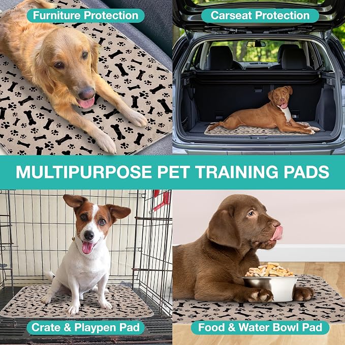 Furthrive Washable Pee Pads for Dogs with Pheromone Attraction, Reusable | Reusable Puppy Pads, Waterproof Non-Slip Training Pad 31.25 x 27.25 in, Pet-Friendly for Crates, Apartments (One Unit)
