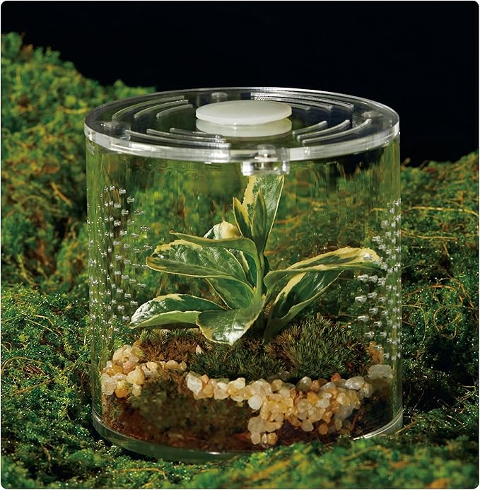 Acrylic Terrarium for Reptiles & Spiders – Small/Medium/Large Leak-Proof Enclosure (Horizontal/Vertical) | Ideal for Tarantulas, Jumping Spiders, Frogs & Geckos(Small, Round)
