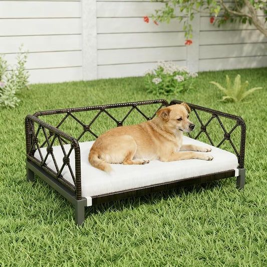 Elevated Indoor & Outdoor Dog Bed for Small Dogs, Durable Rattan Wicker Pet Sofa with Removable Washable Waterproof Cushion, Stylish Dog Couch, Black Rattan/White Mat