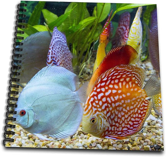 Drawing Book 8 x 8 inch - Freshwater tropical discus Fish
