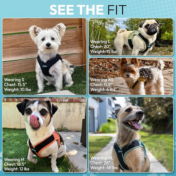 Gooby Escape Free Easy Fit X Step-in Dog Harness, Seattle Blue, Large | Patented escape-free, tightens on back-out; Choke-free X-frame + V-neck; Quick-release buckle; Reflective trim