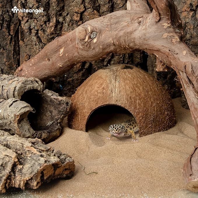 2 Pack Natural Coconut Reptile Hideouts, Lizard, Spider and Aquarium Fish Hide Cave (Natural Surface)