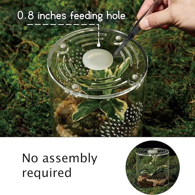 Acrylic Terrarium for Reptiles & Spiders – Small/Medium/Large Leak-Proof Enclosure (Horizontal/Vertical) | Ideal for Tarantulas, Jumping Spiders, Frogs & Geckos(Small, Round)