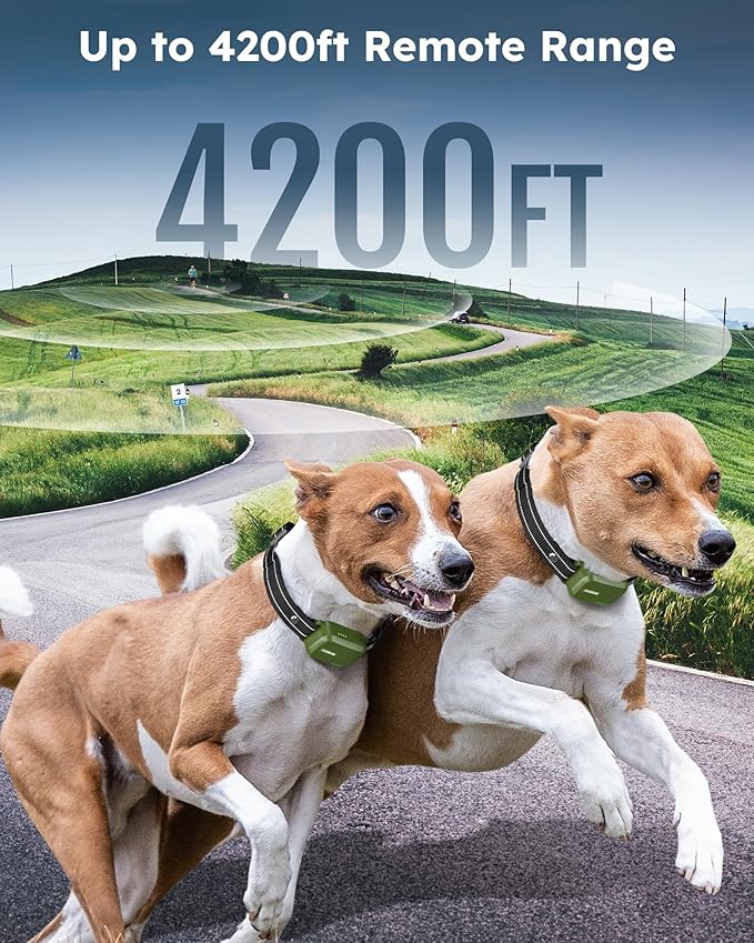 Jugbow Dog Shock Collar for 2 Dogs- Dog Training Collar with Remote 4200FT, IPX8 Waterproof Electric Dog Collar with 4 Training Modes, Security Lock, Rechargeable eCollar for 10-120lbs Dogs
