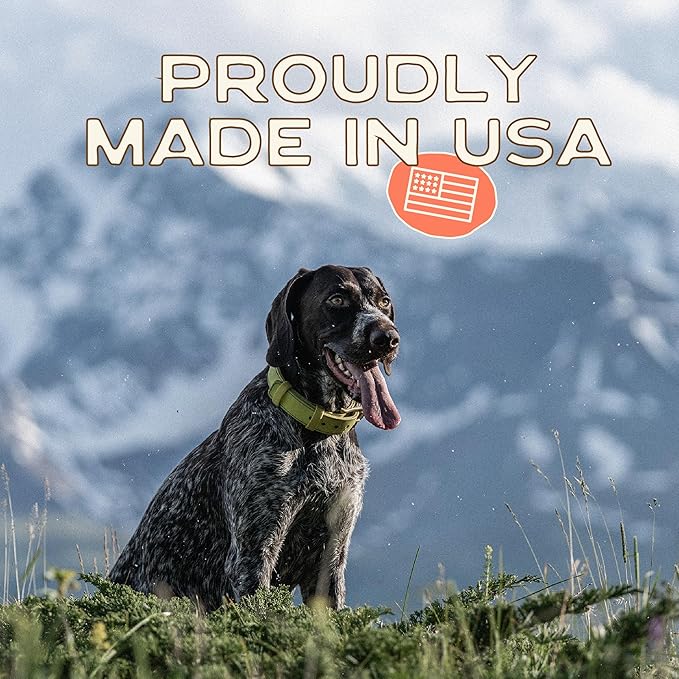 Smart Cookie All Natural Dog Treats - Healthy Skin & Coat Salmon Dog Treats - Ideal for Sensitive Stomachs or Itchy, Allergic, Dry Skin - Dehydrated, Crunchy, Human-Grade, Made in USA - 8oz, Pack of 3