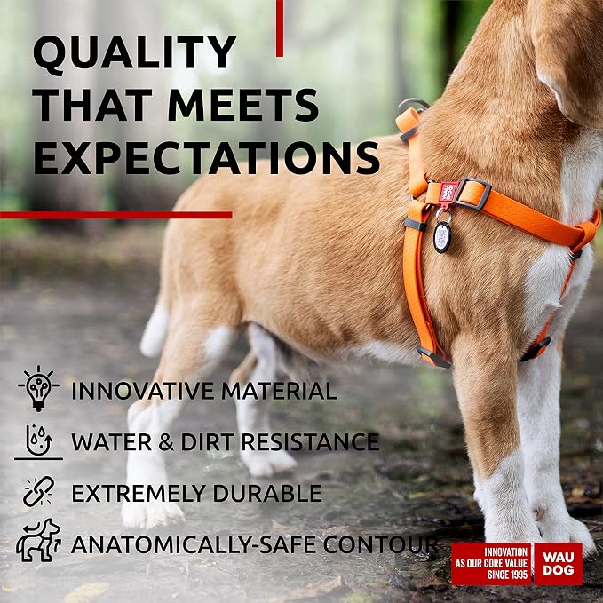 WAUDOG Waterproof Dog Harness - Adjustable for Large, Small and Medium Dogs - Heavy Duty with Durable Metal Clasp and QR Tag - Boy & Girl - Orange (20-32in)