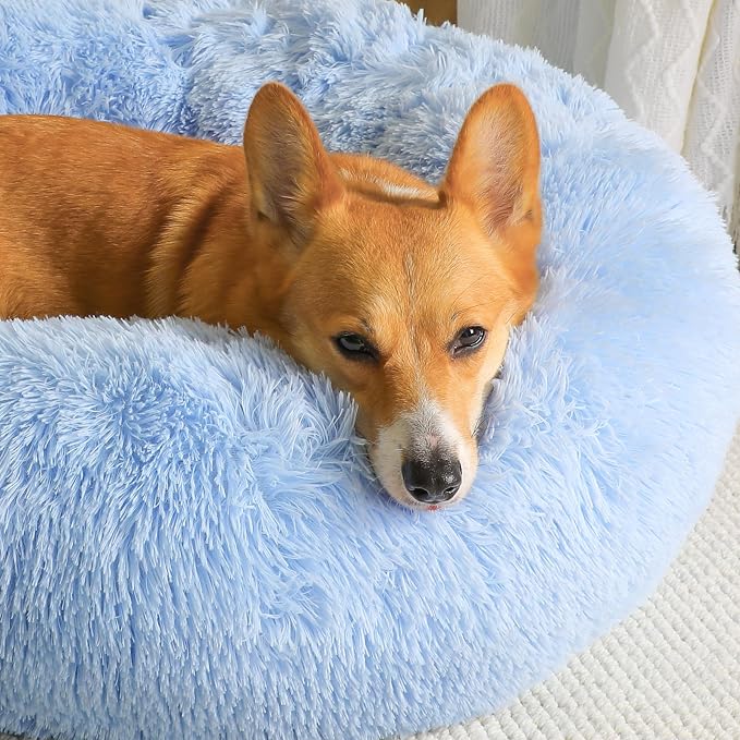 Western Home Calming Donut Small Dog Cat Bed Washable Puppy Bed,24" | Fluffy Faux Fur Round Cuddler,Anti-Anxiety,Anti-Slip Bottom,Pet Beds for Puppy&Small Dog&Large Cat,Up to 25 LBS Light Blue