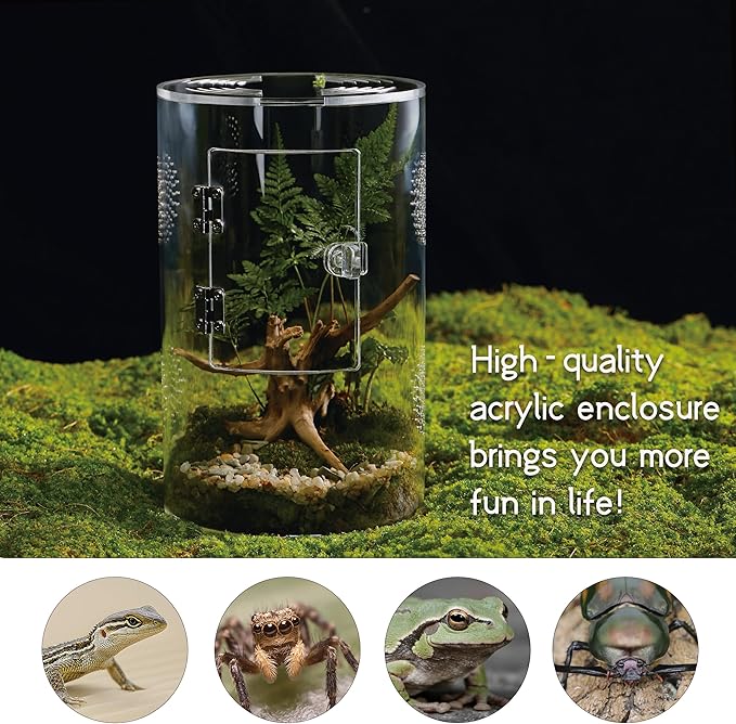 Acrylic Terrarium for Reptiles & Spiders – Small/Medium/Large Leak-Proof Enclosure (Horizontal/Vertical) | Ideal for Tarantulas, Jumping Spiders, Frogs & Geckos(Medium, Round)