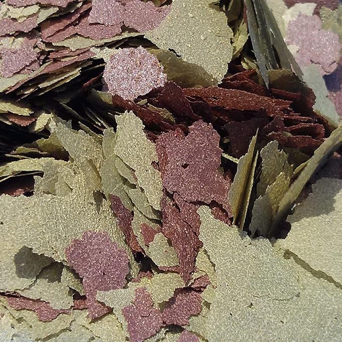 Aquatic Foods Inc. Flakes - 45% California Blackworm & Cichlid Green GRO Flake Mix for Discus, Cichlids, Tetras, Guppies, Live Bearers, All Community Tropical Fish - Premium AF Flakes - 1-lbs