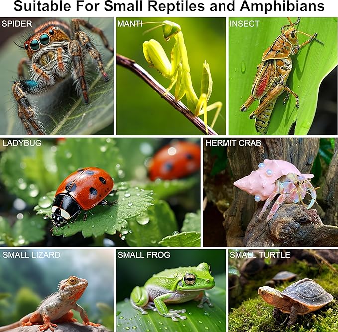 Jumping Spider Enclosure, Spider Terrarium, Acrylic Enclosure Kit, Small Terrarium, Insect Habitat for Spiders, Praying Mantis, Arboreal Tarantula, Bug, Frog, Snail, Lizard and Small Reptiles