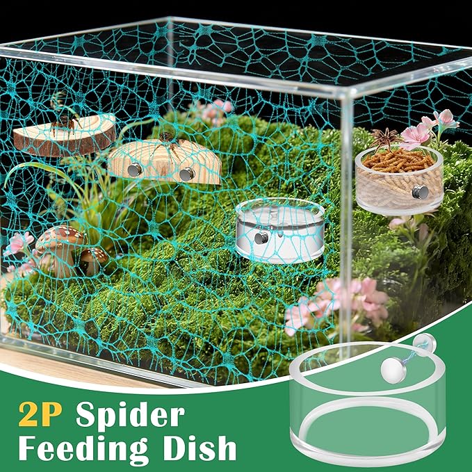 Windspeed 8Pcs Jumping Spider Enclosure Stuff Kit with 2 Jumping Spider Enclosure Ledges 2 Tarantula Feeding Dish 1.8 Ounce Fake Moss 1 Dropper 1 Clamp