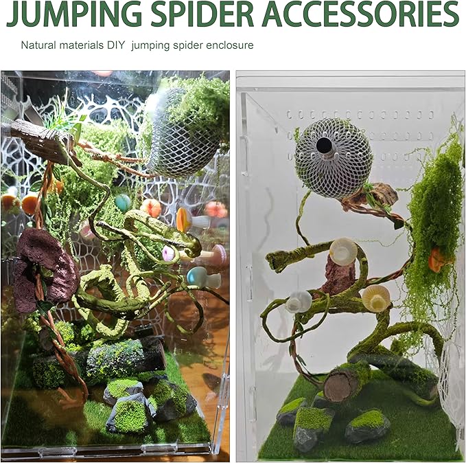 22 Pcs Jumping Spider Enclosure Decor Accessories, Terrarium Landscaping Kit with Mossy Wood, Green Vine, Mesh, Mini Mushrooms & Grass Mat for Tarantula Reptile Habitat Decoration
