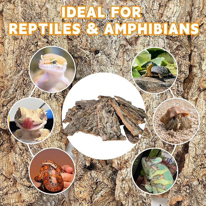 BNOSDM Reptile Terrarium Bark Substrate Bedding Tortoise 3.9-5.9in Natural Cork Bark Reptile Climbing Mat Habitat Decor for Lizard Snake Spiders Hermit Crabs Tarantula Geckos Bearded Dragons (1.4LB)